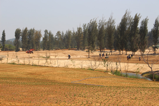 [-]Thủ[-]tướng[-]yêu[-]cầu[-]làm[-]rõ[-]các[-]vụ[-]phá[-]rừng[-]ở[-]Phú[-]Yên